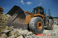 Case 921C Case 921C